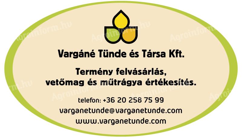 Termény felvásárlás és vetőmag értékesítés egész évben! - Vargáné Tünde és Társa Kft