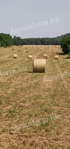 Fân, lucernă de vânzare