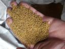 Metal-locked alfalfa and non-grain alfalfa seed for sale