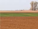 Arable land for sale