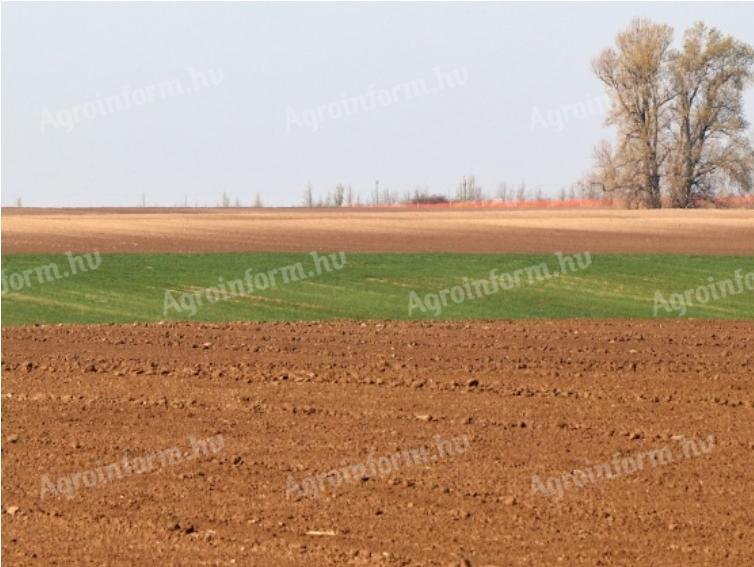 Arable land for sale