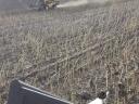 Sunflower, maize harvest