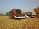 Sunflower, maize harvest