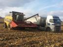 Sunflower, maize harvest