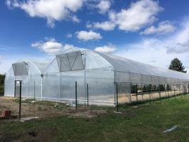 Bitunnel fóliaház eladó, 20 x 50 m, 1000 m²