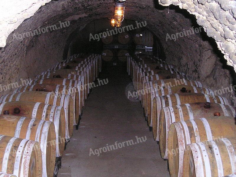 Říční víno Szekszárd Merlot doručené zdarma až k vašim dveřím