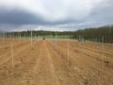 NEW!!! Pressing of grape metal columns by hydraulic vibration