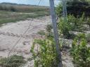 Metal vine post with bordered walls, wire and accessories