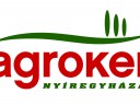 NYOMÓTÁRCSA /TENGELYKAPCSOLÓ/ MTZ