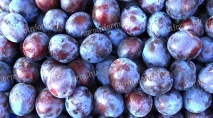 Machine harvested Presenta plum jam and mash for sale