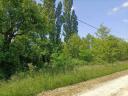 In Kehidakustány, panoramic, 994 sqm orchard and 787 sqm meadow on one parcel