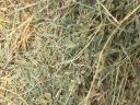 Alfalfa and hay for sale (stored) Delivery possible at a reasonable price