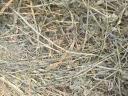 Alfalfa and hay for sale (stored) Delivery possible at a reasonable price