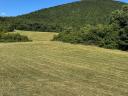 120 rain-free meadow hay round bales - last 30 in 2025