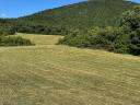 120 hay round bales - last 30 in 2025
