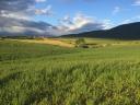 120 hay round bales - last 30 in 2025