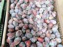 Silvacefre varieties for sale: Top First, Herman