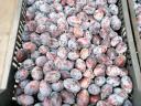 Silvacefre varieties for sale: Top First, Herman