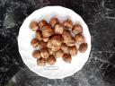 Hazelnuts in shell and shelled in large and small quantities for sale