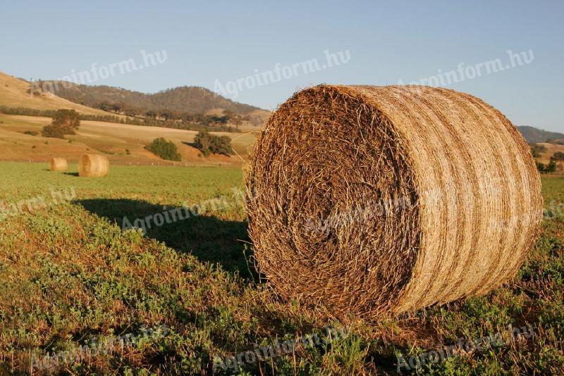 Ливадско сено се продаје у округлим балама