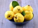 Quince for sale