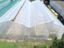 Tailor-made agrofoil action, tent film, 150 micron film, 3 years UV warranty