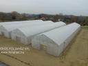 Tailor-made agrofoil action, tent film, 150 micron film, 3 years UV warranty