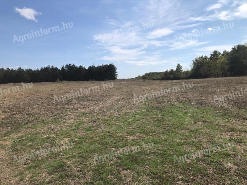 Land for sale in Bács-Kiskun county