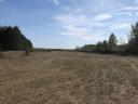 Land for sale in Bács-Kiskun county