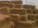 Straw small cubes of wheat straw stored under a foil tent for sale in Kecskemét