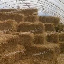 Straw small cubes of wheat straw stored under a foil tent for sale in Kecskemét