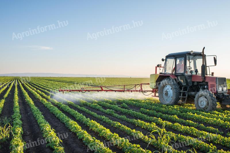 Renting arable land