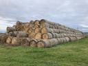 Round baled hay for sale