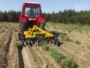 BUSA SX-10 - Forestry rotary disk pine
