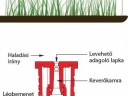 TeeJet-AI3070-..VP Légbeszívásos,  kettős lapos sugarú fúvóka