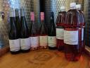 2023 берба вина из винске регије Матра