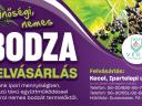 Noble elderberries, organic elderberries, buy nationally at best market prices