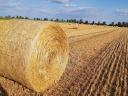 Straw bale