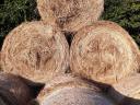 Hay bales for sale