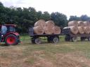 Hay bales for sale