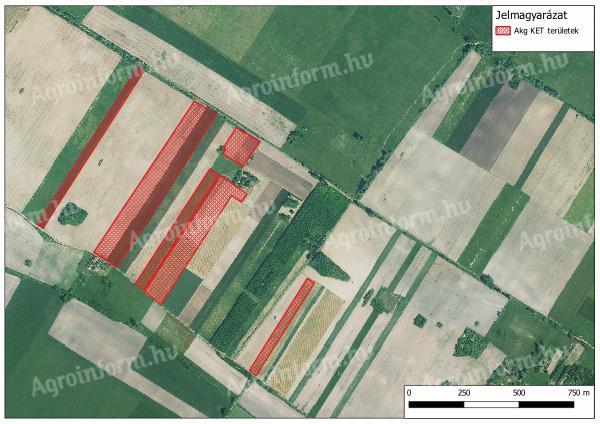 AKG Surveying, geodetske storitve