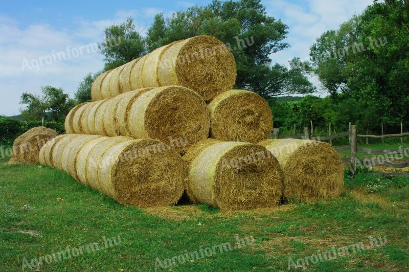 Straw for sale