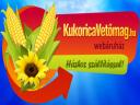 Pioneer Sunflower Seed - KukoricaVetőmag.hu Kft. - Hegedűs Zsolt