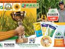 Pioneer Sunflower Seed - KukoricaVetőmag.hu Kft. - Hegedűs Zsolt