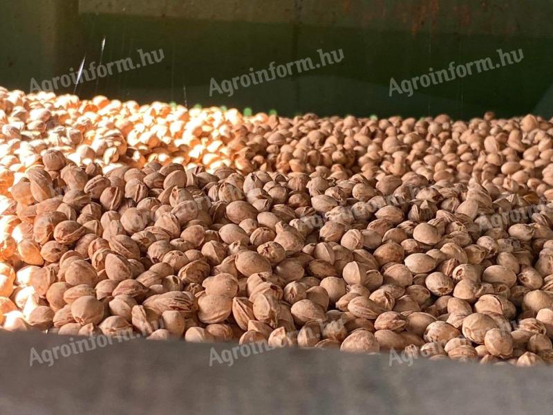 Peach seeds, cherry seeds, plum seeds, seed shells, for sale for fuel