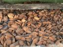 Peach seeds, cherry seeds, plum seeds, seed shells, for sale for fuel