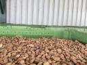 Peach seeds, cherry seeds, plum seeds, seed shells, for sale for fuel