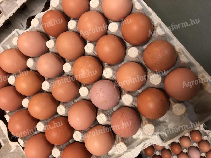 Tabuľkové vajcia