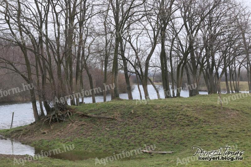 Rybník na prodej 30 km od hranic s Rakouskem