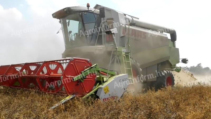 Wir suchen einen landwirtschaftlichen Unternehmer, der die Samen von 200 ha Luzerne erntet